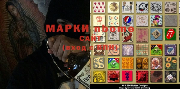 прущие грибы Абаза