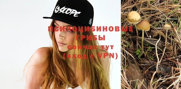 прущие грибы Абаза